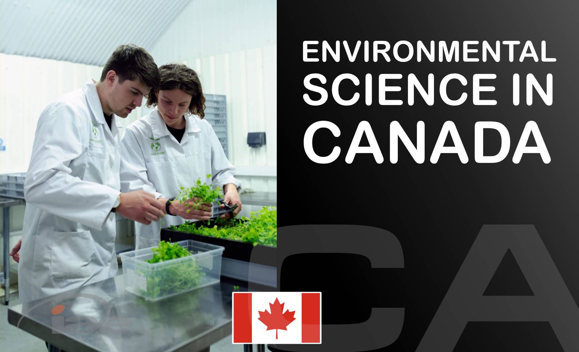 🇨🇦 Top 5 most affordable Environmental Science degrees in Canada (Bachelor's)