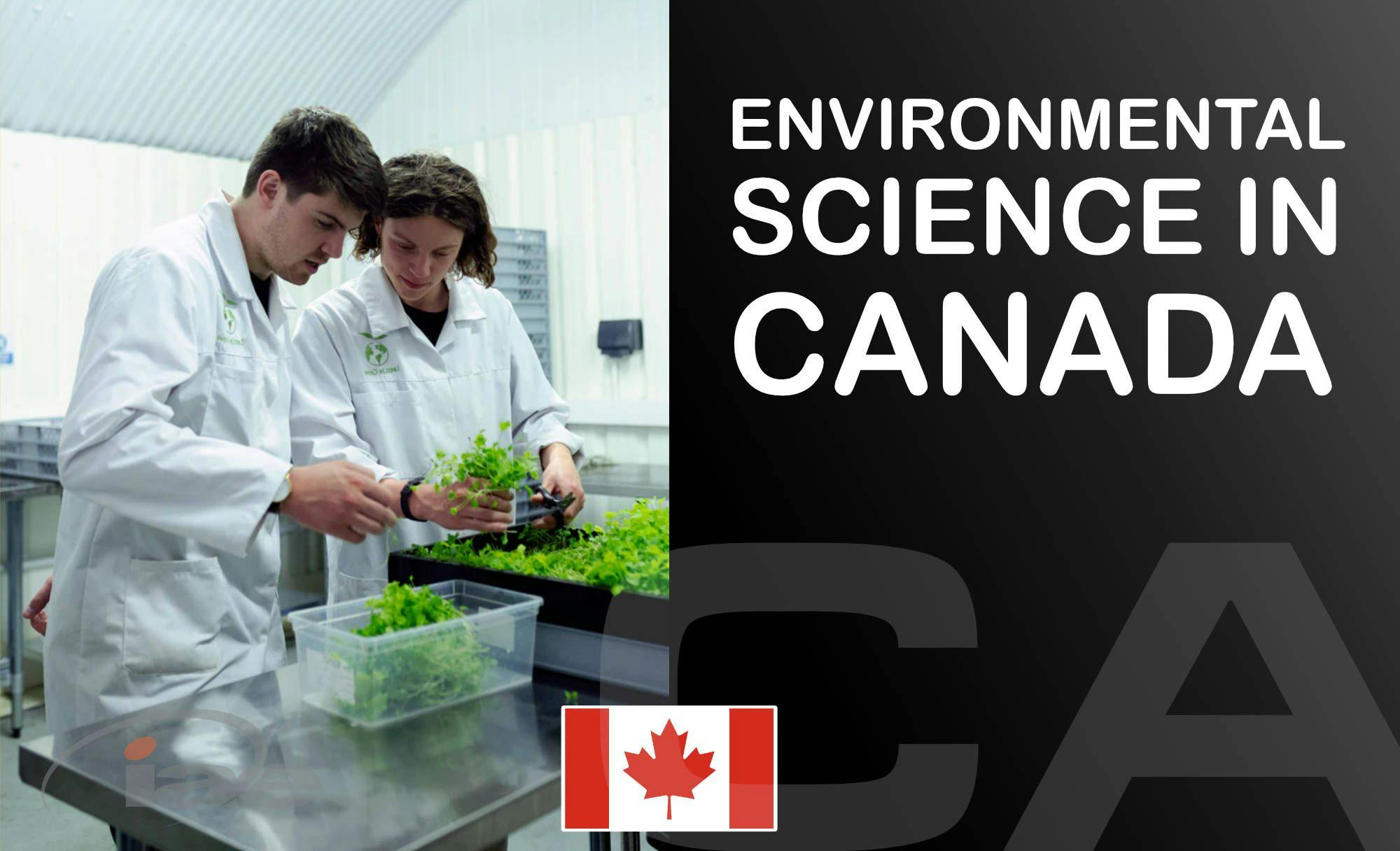 🇨🇦 Top 5 most affordable Environmental Science degrees in Canada (Bachelor's)
